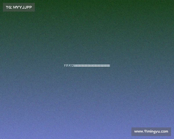 FIFA12世界杯游戏震撼开启虚拟绿茵赛场再现经典足球荣耀之旅